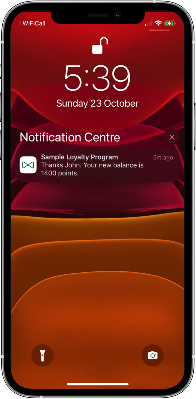 Loyalty program points balance notification sent to phone
